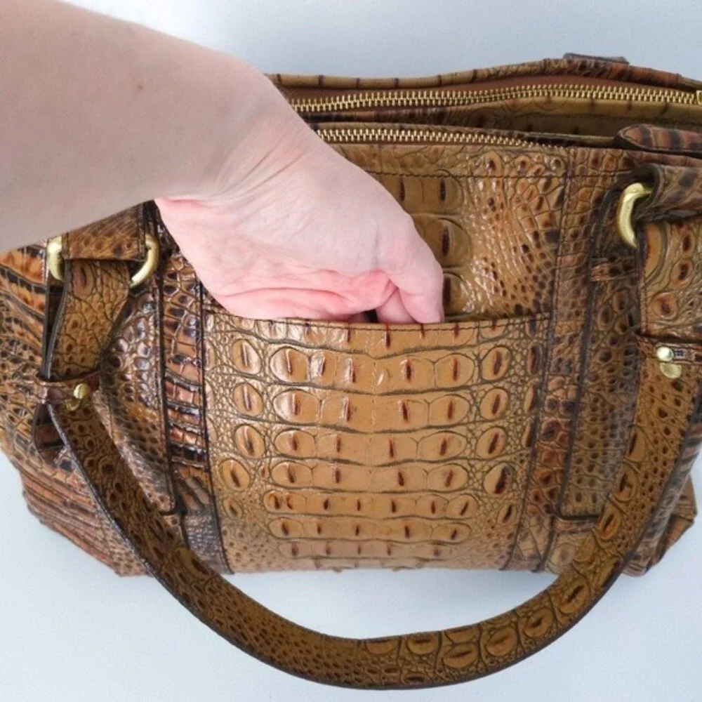 Brahmin dark brown